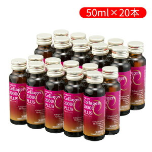 20{Zbg GNX{[e R[Q20000vX܂Ƃߔ  GNX{[e R[QhN tBbVR[Q RhC` GX` qA_ iCAV[COoN