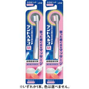 CI LION fgwXnuV 炩 @uV ͂Ԃ炵 