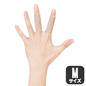 D&M wT|[^[ 2 x[Ww֐ ی wT| 2 Y fB[X e[sO ^Cv