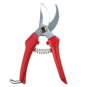 g₷oT~  MS-1K[fjO   y 