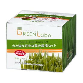 ペットグラス 犬と猫が好きな草 栽培セット 1セット