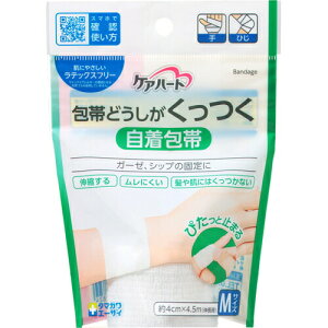 PAn[g тǂ  MTCY 1R