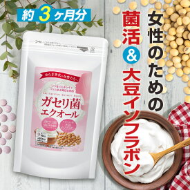 ガセリ菌エクオール 90粒ガセリ菌 善玉菌 乳酸菌 腸活 菌活 エクオール サプリメント 大豆イソフラボン サプリメント 大容量 お徳用 健康 美容 RoyalBS 日本製