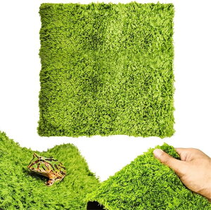 y6%OFFN[|z঒ }bg p Q lH ێz eEQ 􂦂 ʋC JG J wr 