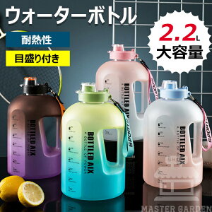 yz{g EH[^[{g 2.2Le hN{g  X|[c{g [hoCN {gz_[ ] gCjO gCAX Lbv AEghA  