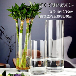 y6%OFFN[|zzK[h t[x[X Ȃ KX x[X x ~  hCt[ vU[uht[  tFCN O[ Ԃт ԕr т ֑} Ԋ 