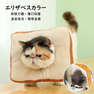 yzGUxXJ[ y L  ybgp񕜋 \ _炩 g[Xg^ L \tg ی y ybgی ybgpi ȒP LK p PA ی 