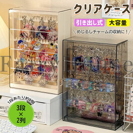 楽天市場】2段5列式 クリア ピアス 収納 ケース アクセサリー 収納 