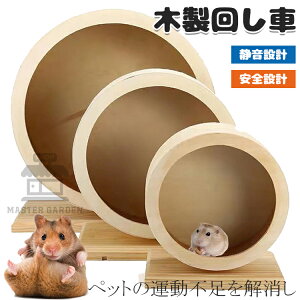 y6%OFFN[|zzIz񂵎  ybg zC[ VRؐ É V zC[ jO nX^[ ^s TCgzC[ jOzC[ Â Q[W }EX n