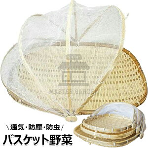 yԌI10%OFFN[|z| ؂U lbgt ~ |M  |  |U V ~ E ΍ t^ ho Q Е ~ ʋC  A