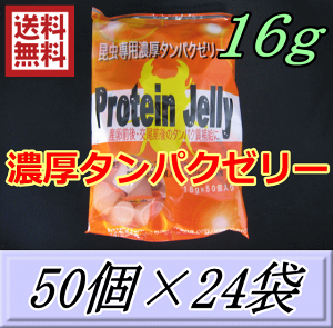 IZ^pN[[ 16g@50×24܁@veC[[@u[_[YEt@[