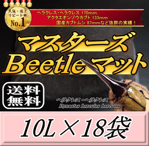 yVzr[肢v܂I}X^[YBeetle}bg 10L×18܁@wNX170mm̎сIQ̍99ȂI JugV cp i }bg c̃GT y
