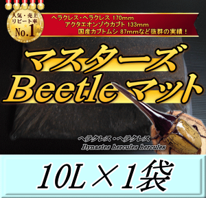 }X^[YBeetle}bg 10L×1܁@wNX170mm̎сIQ̍99ȂI JugV cp i }bg c̃GT y