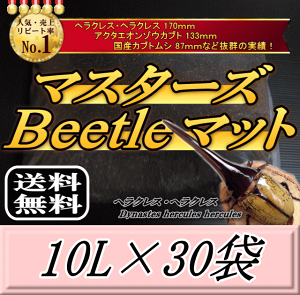 yVzr[肢v܂I}X^[YBeetle}bg 10L×30܁@wNX170mm̎сIQ̍99ȂI JugV cp i }bg c̃GT y