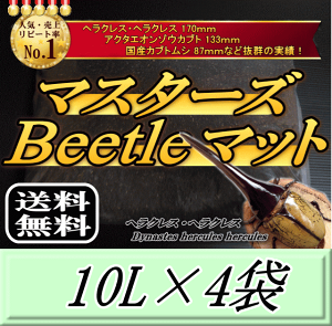 yVzr[肢v܂I}X^[YBeetle}bg 10L×4܁@wNX170mm̎сIQ̍99ȂI JugV cp i }bg c̃GT y