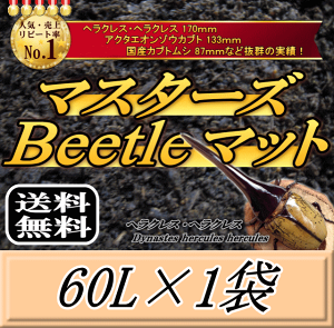 r[肢v܂I}X^[YBeetle}bg 60L×1܁@wNX170mm̎сIQ̍99ȂI JugV cp i }bg c̃GT y