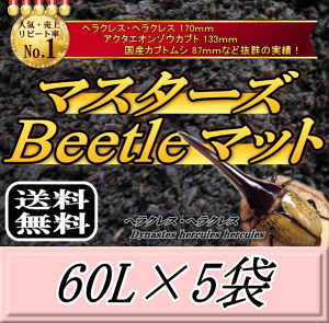 yVzr[肢v܂I}X^[YBeetle}bg 60L×5܁@wNX170mm̎сIQ̍99ȂI JugV cp i }bg c̃GT y