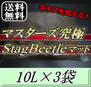 r[肢v܂I}X^[YStag Beetle}bg 10L×3܁@~} t^}^ cNŃMlX_ōÑNK^}bgIQ̍99ȂI NK^