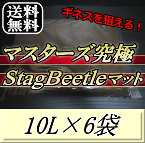 r[肢v܂I}X^[YStag Beetle}bg 10L×6܁@~} t^}^ cNŃMlX_ōÑNK^}bgIQ̍99ȂI NK^