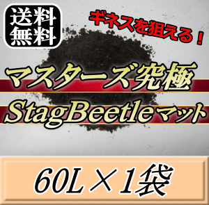 r[肢v܂I}X^[YStag Beetle}bg 60L×1܁@~} t^}^ cNŃMlX_ōÑNK^}bgIQ̍99ȂI NK^
