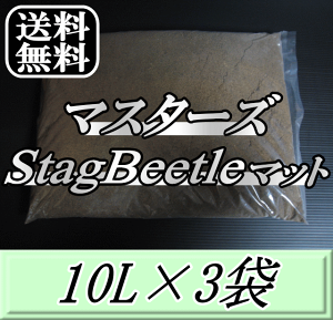 r[肢v܂I}X^[YStag Beetle}bg 10L×3܁@\NK^}bgIQ̍99ȂI NK^V cp i }bg c̃GT y