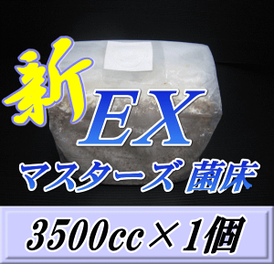 }X^[YVEX IIq^P ۏ ubN 3500cc×1@ґȓY܁EMlX_钴iIS̃ui qC ێ QI c̃GT ێr ȋlߑւpI