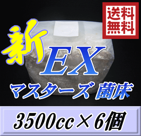 楽天市場 菌糸 ブロックの通販