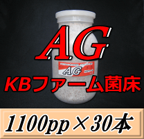 楽天市場】ag菌糸ブロックの通販