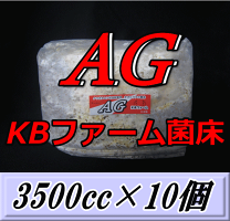 楽天市場】菌糸ブロック agの通販