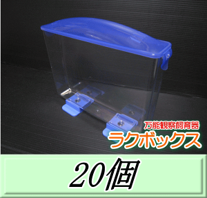 飼育ケース 昆虫 ラクぼっくすの人気商品・通販・価格比較 飼育ケース 昆虫 ラクぼっくすの人気商品・通販・価格比較