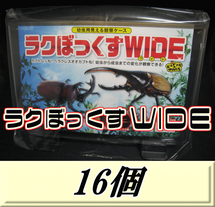楽天市場】レビューをお願い致します◇送料無料！見える観察ケース