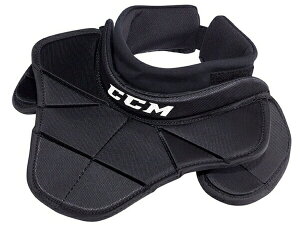 ݁ICCM/V[V[G@GK TC 900 yACXzbP[S[[z 2020-2021