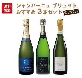 シャンパーニュ　ブリュットおすすめ3本セット（750mlx3）フランス　 オーガニック　グランクリュ 入り　スパークリングワイン　セット　辛口　飲み比べ　プレゼント　送料無料