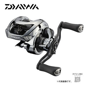 ダイワ スティーズ リミテッド SV TW 1000S-XHL (リール) 価格比較 