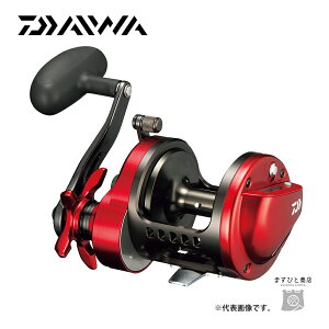 ダイワ 幻覇王 石鯛 40 (リール) 価格比較 - 価格.com 