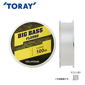 東レ ソラローム ビッグバス フロロ 100m 20lb 送料無料