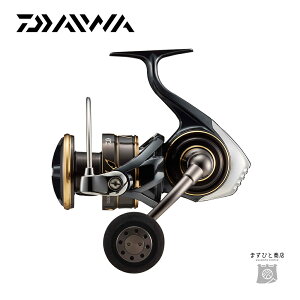 _C 22 JfBA SW 8000-P 