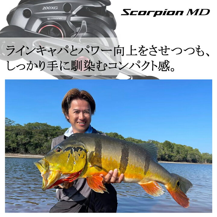 楽天市場】シマノ 24 スコーピオン MD 201HG 送料無料 : ますびと商店
