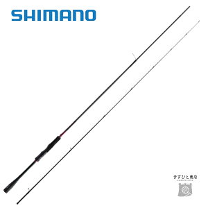 V}m 21 ZtBA XR S86ML 