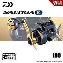 楽天市場】ソルティガic100の通販