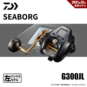 _C 21V[{[O G300JL nh 