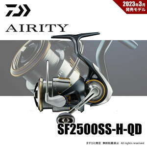 _C 23 GAeB SF2500SS-H-QD 