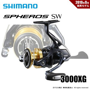 V}m 19 XtFXSW 3000XG 