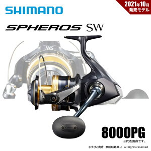 V}m 21 XtFXSW 8000PG 