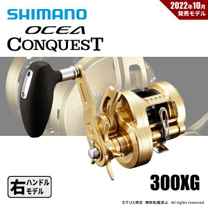 V}m 22 IVARNGXg 300XG 