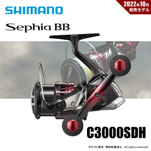 V}m 22 ZtBA BB C3000SDH 