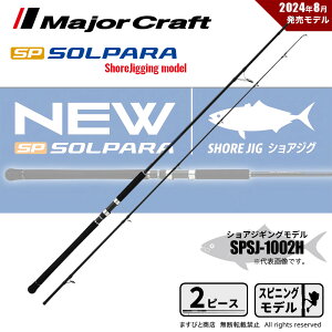 W[Ntg 24 \p VAWMO SPSJ-1002H 