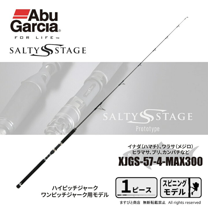 楽天市場】アブガルシア ソルティーステージ プロトタイプ ジギング 