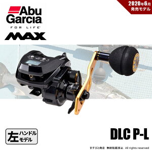 ʉi AuKVA MAX DLC P-L JE^[[ nh 