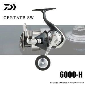 _C 24 Ze[g SW 6000-H 